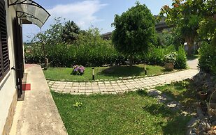 Aurantia - Mediterranean Tale