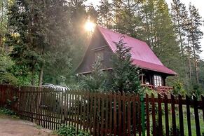 In The Woods Lodge With hot tub Inside Puszcza Knyszyśnka - Two-bedroo