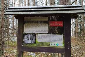 In The Woods Lodge With hot tub Inside Puszcza Knyszyśnka - Two-bedroo