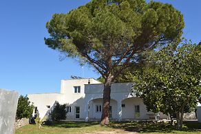 Tenute Masseria Notari
