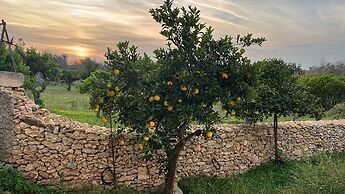 Tenute Masseria Notari