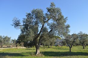 Tenute Masseria Notari