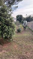 Tenute Masseria Notari