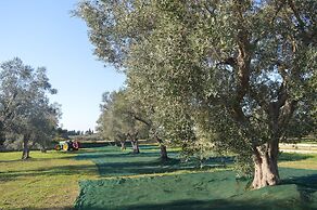Tenute Masseria Notari
