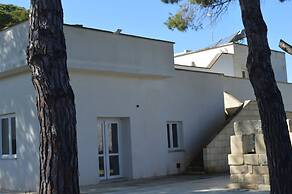 Tenute Masseria Notari