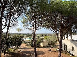 Tenute Masseria Notari