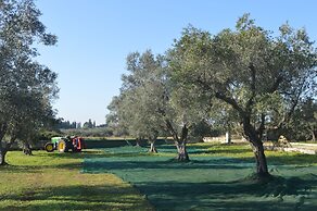 Tenute Masseria Notari