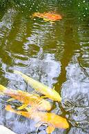 Luxury Villa w Pool Garden Outdoor Lounge