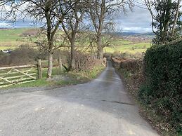 BroomBush
