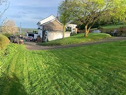 BroomBush