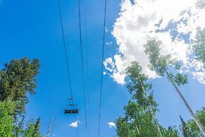 Absolutely Amazing Slopeside Mountain Lodge With spa