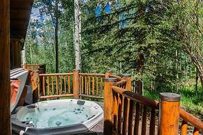 Absolutely Amazing Slopeside Mountain Lodge With spa