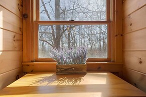 Spacious Luxury Lake Blue Ridge Forest Cabin an spa