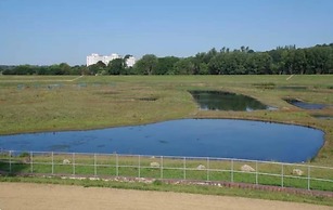 Stylish Central House Retreat in Manchester