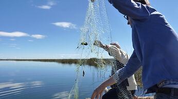 UROS ARUMA URO LODGE