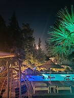 Trees Art Hotel & Suites