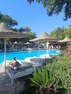 Trees Art Hotel & Suites