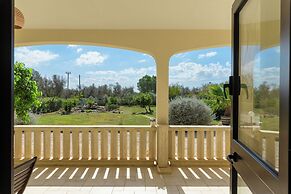 Villa Alexander & Pool Wonderful Italy