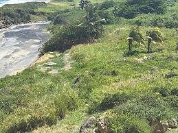 BednBong Experience Stay