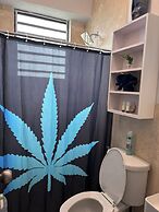 BednBong Experience Stay