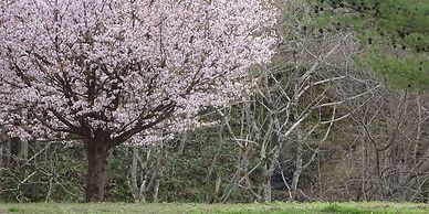 Zuisenkyo