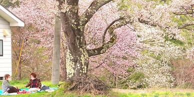 Zuisenkyo