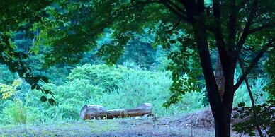Zuisenkyo