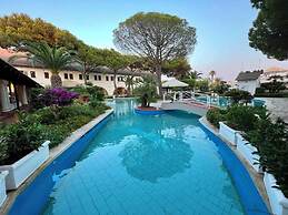 Amarestyle IGV Club Marispica