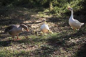 Pousada Campestre Estância São Domingos