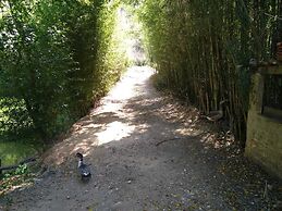 Pousada Campestre Estância São Domingos
