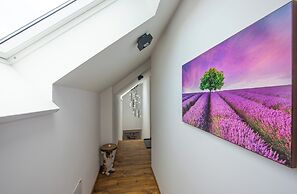 Apartmány Žakovce & SPA