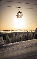 Forest Park Resort & SPA