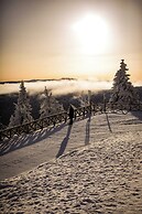 Forest Park Resort & SPA