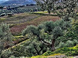 Gero-fotis Guesthouse - Upper Floor Superb View