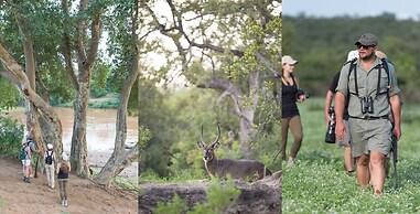 Toro Yaka Bush Lodge