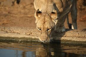 Toro Yaka Bush Lodge