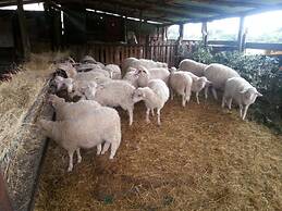 Agriturismo Le Sughere