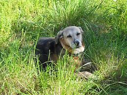 Gorgeous House Exclusive Location