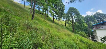 The Glass House Gethia