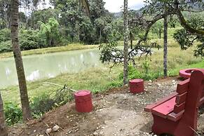 Camp coorg estate homestay