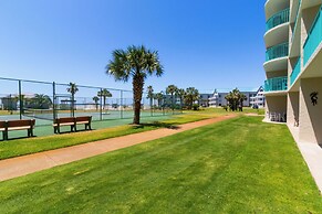 Plantation Palms 6103