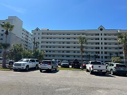 Plantation Palms 6103