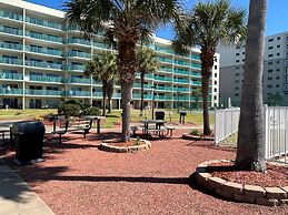 Plantation Palms 6103