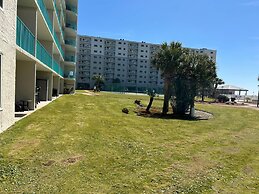 Plantation Palms 6103