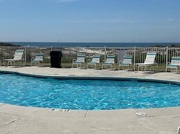 Plantation Palms 6103