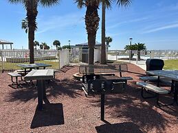 Plantation Palms 6103