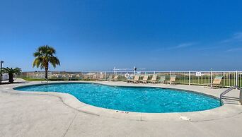 Plantation Palms 6103