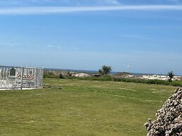 Plantation Palms 6103