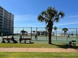 Plantation Palms 6103