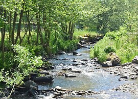 Escape to Nature in Vencimont